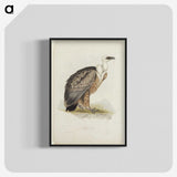 3-43_John-Gould_blk-crop