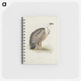 3-43_John-Gould_memo