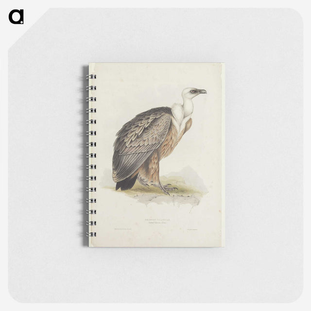 3-43_John-Gould_memo