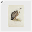 3-43_John-Gould_postcard