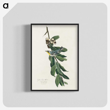 3-43_John-James-Audubon_blk-crop