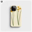 3-43_Maria-Sibylla-Merian_phone