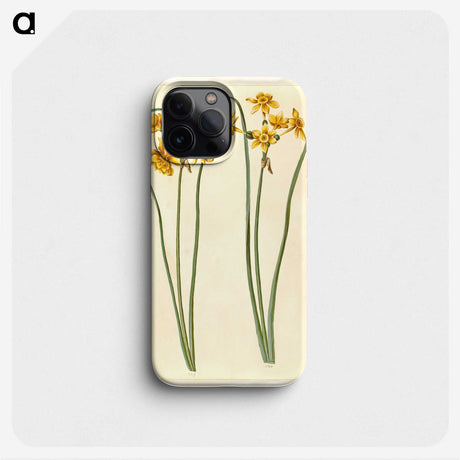3-43_Maria-Sibylla-Merian_phone