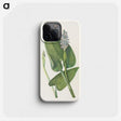 3-43_Mary-Vaux-Walcott_phone