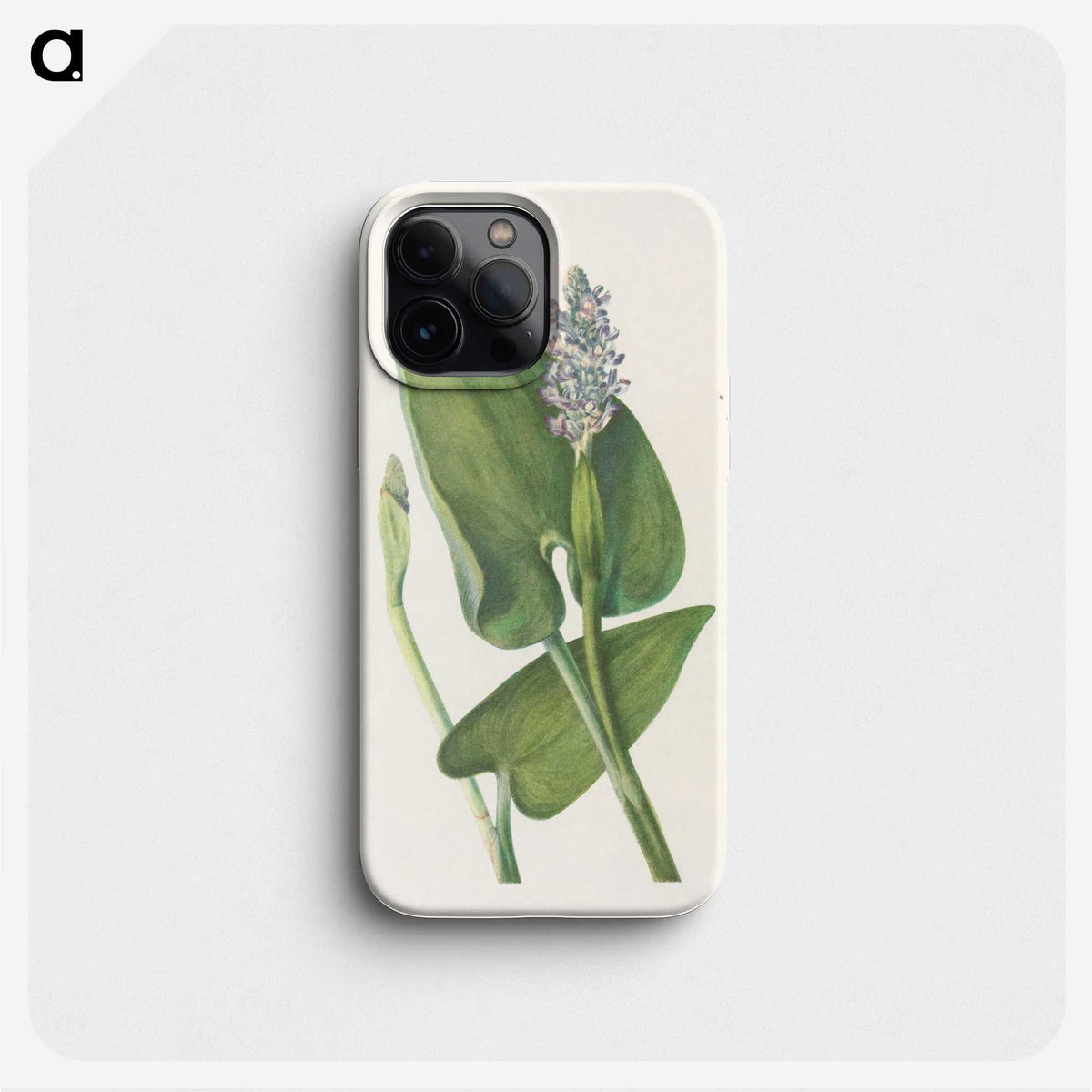 3-43_Mary-Vaux-Walcott_phone