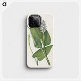 3-43_Mary-Vaux-Walcott_phone
