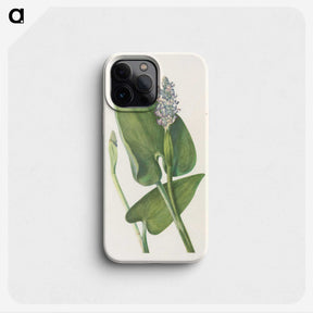 3-43_Mary-Vaux-Walcott_phone