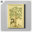 アートパネル-Thannen und Cerchenbeum
 - 国立医学図書館 Canvas.