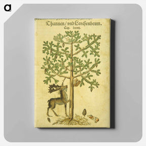 アートパネル-Thannen und Cerchenbeum
 - 国立医学図書館 Canvas.