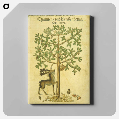 アートパネル-Thannen und Cerchenbeum
 - 国立医学図書館 Canvas.
