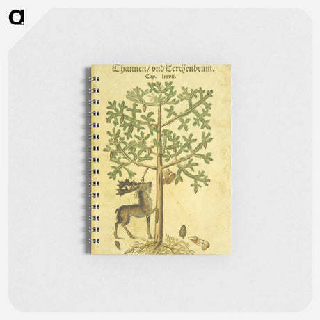 アートメモ帳-Thannen und Cerchenbeum
 - 国立医学図書館 Memo.