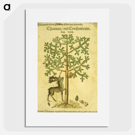 アートポスター-Thannen und Cerchenbeum
 - 国立医学図書館 Poster.