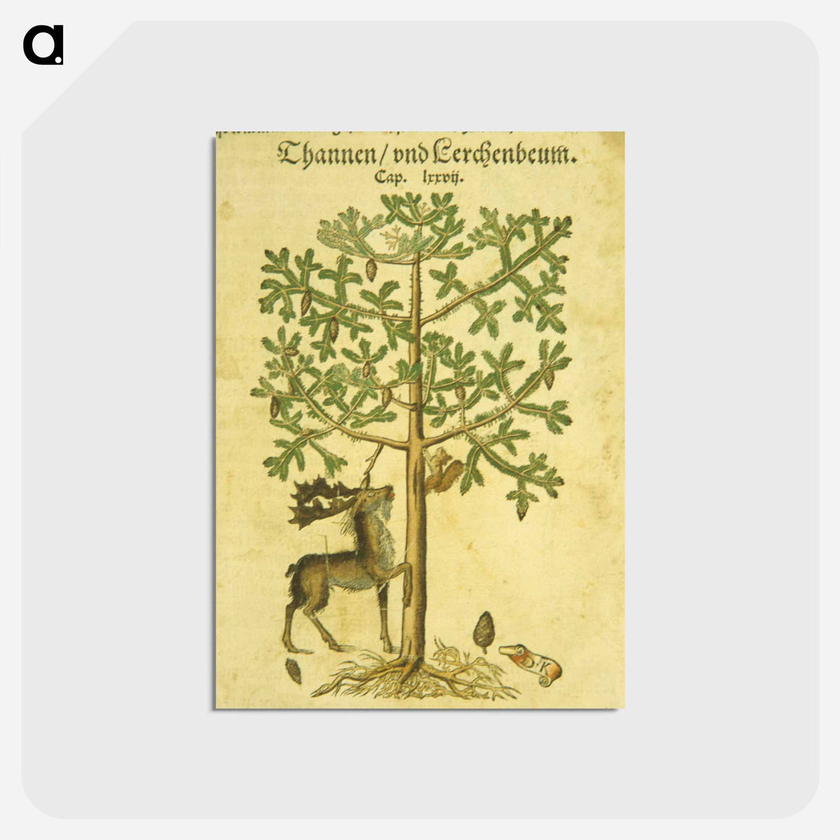 アートポストカード-Thannen und Cerchenbeum
 - 国立医学図書館 Postcard.
