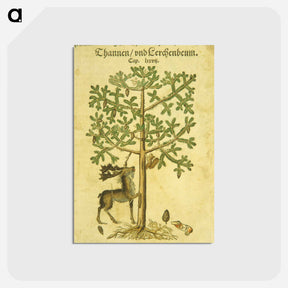 アートポストカード-Thannen und Cerchenbeum
 - 国立医学図書館 Postcard.