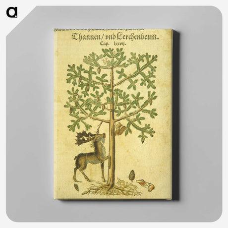 3-43_National-Library-of-Medicine_canvas