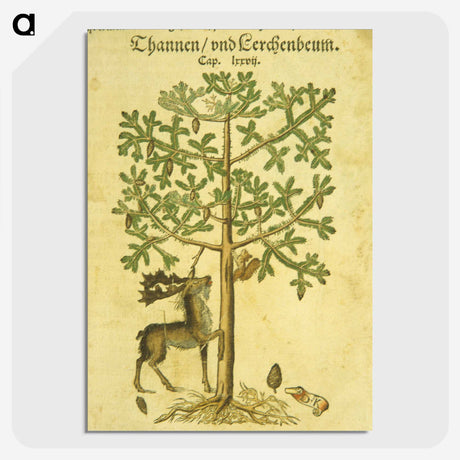 3-43_National-Library-of-Medicine_picture-crop