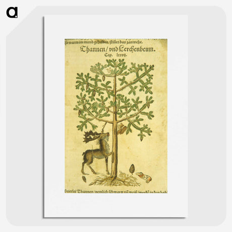 3-43_National-Library-of-Medicine_picture