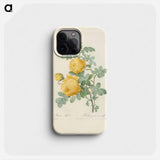 Rose illustration - Pierre Joseph Redouté Phone Case.