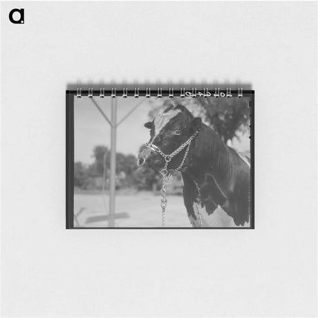 アートメモ帳-Guinea Hens on Pomp Hall Farm
 - ラッセル リー Memo.