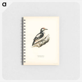 アートメモ帳-Great Spotted Woodpecker
 - スヴェンスカ フォグラル Memo.