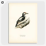 3-43_Svenska-Faglar_picture-crop