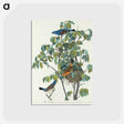 アートポストカード-Blue Grosbeak from Birds of America
 - アメリカの鳥たち Postcard.