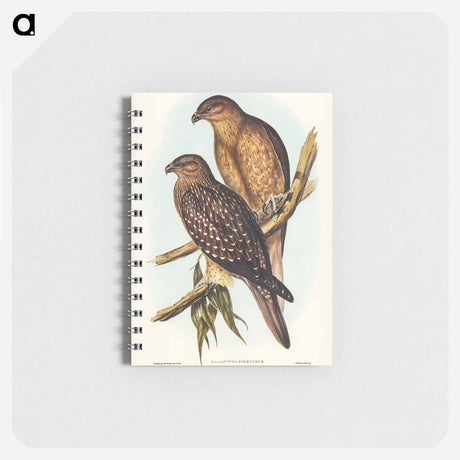 アートメモ帳-Birds of Australia
 - オーストラリアの鳥 Memo.