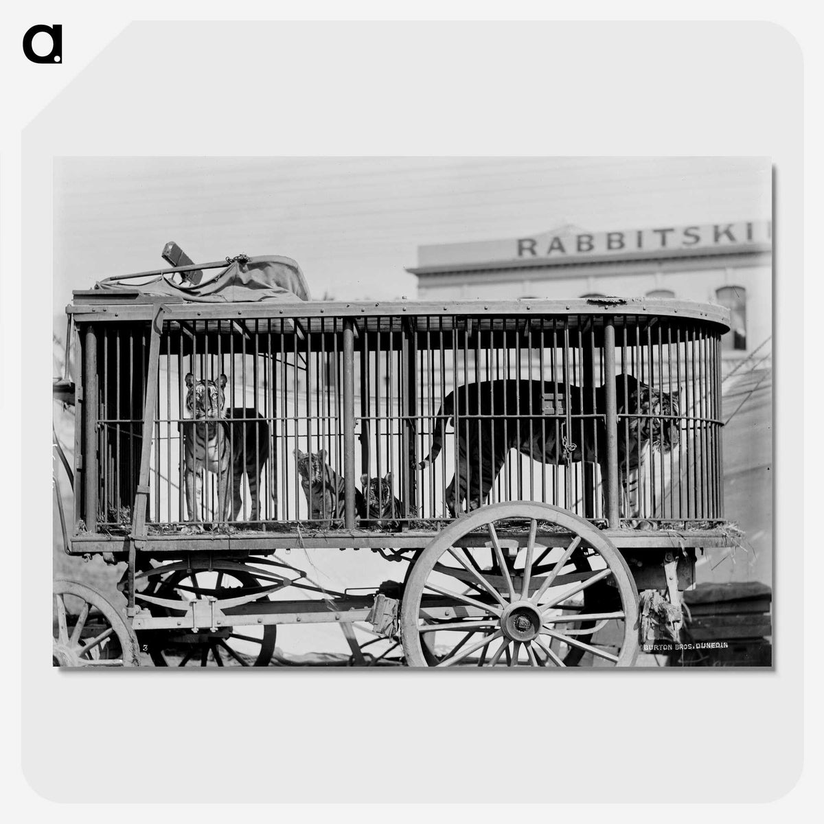 3-43_The-Burton-Brothers_picture-crop