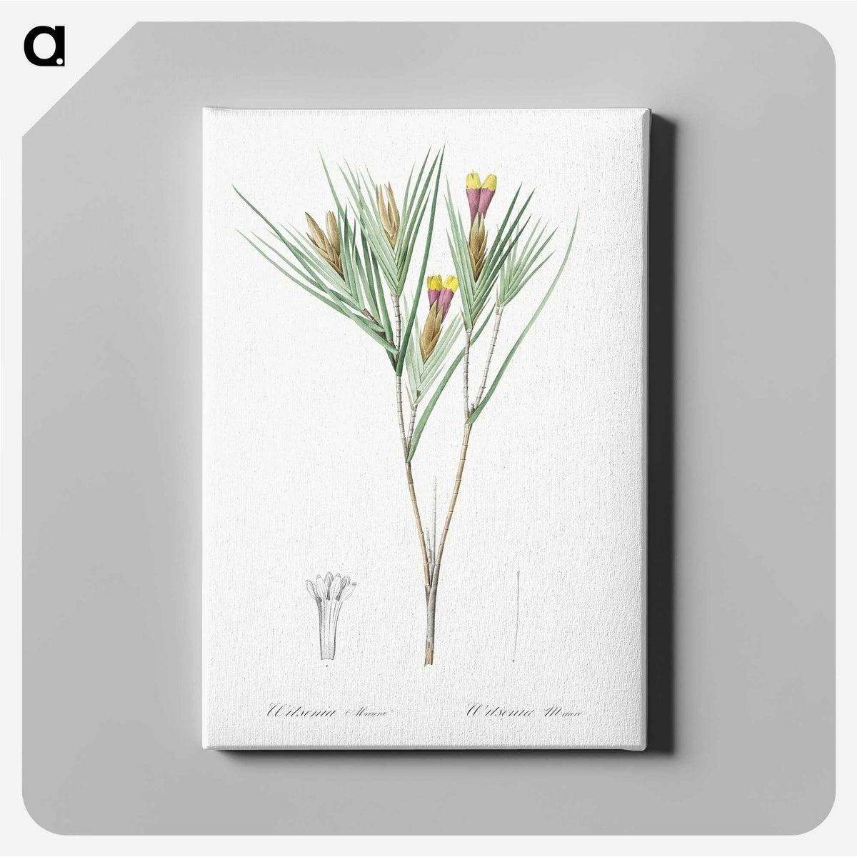 3-43_The-Lilies_canvas