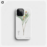 3-43_The-Lilies_phone