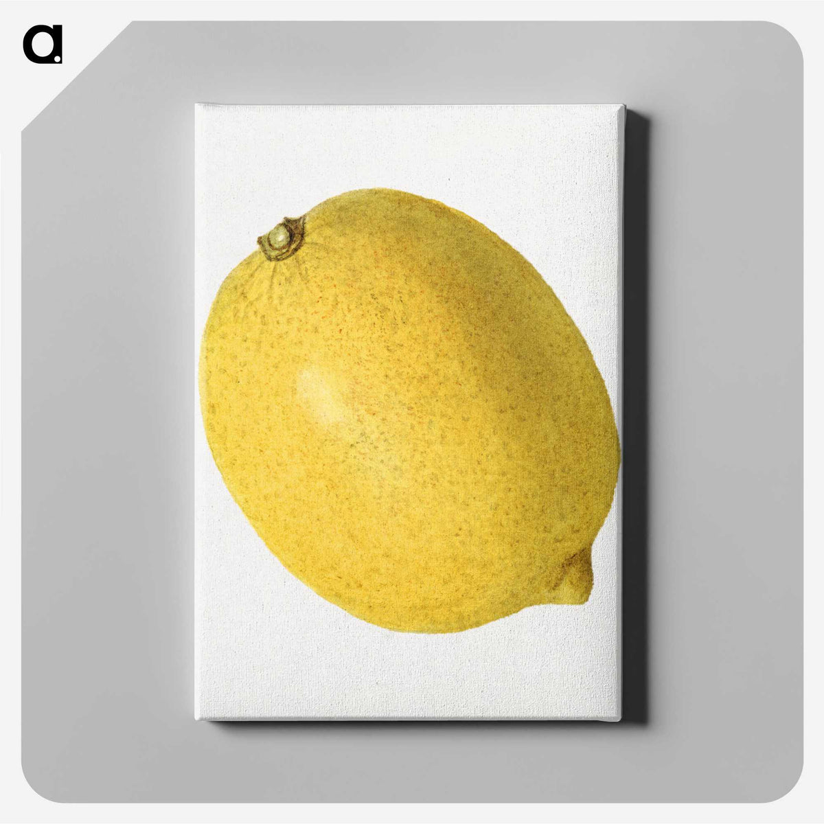 3-43_USDA-Watercolor-Fruit-Painting-Collection_canvas