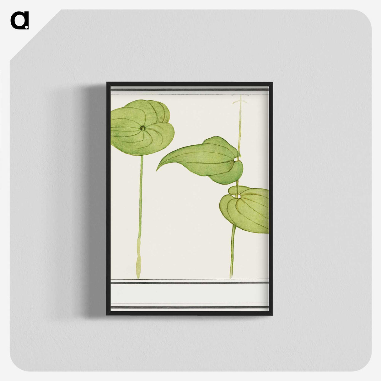 3-44_Anselmus-Boetius-de-Boodt_blk-crop
