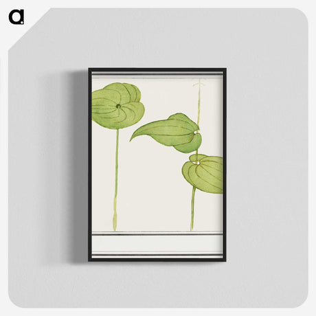 3-44_Anselmus-Boetius-de-Boodt_blk-crop