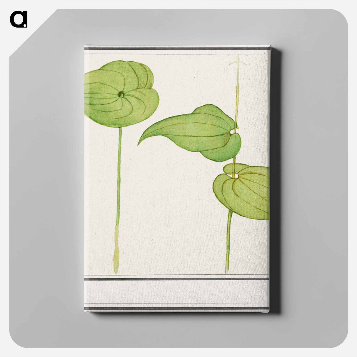Plant, Unknown species - アンセルムス ボエティウス デ ブート Canvas.