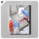 3-44_COVID-19_canvas
