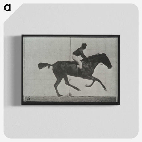 3-44_Eadweard-Muybridge_blk-crop