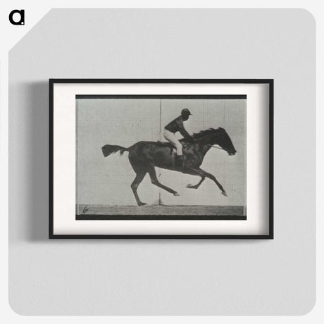 3-44_Eadweard-Muybridge_blk