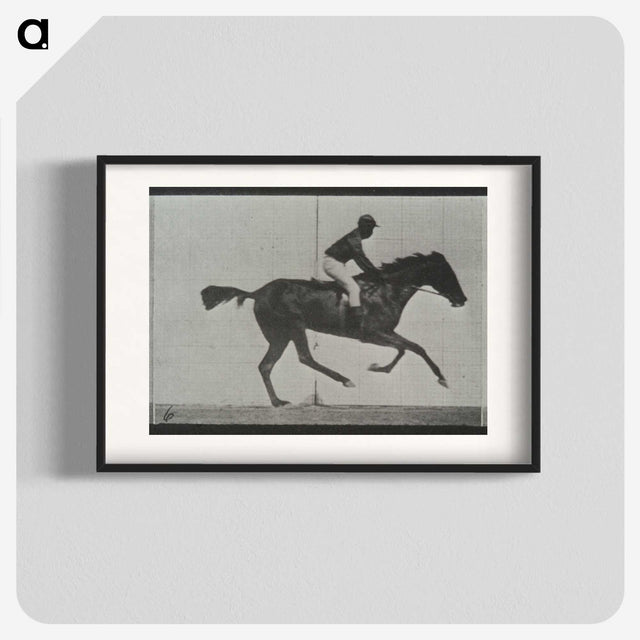 3-44_Eadweard-Muybridge_blk