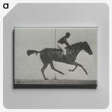 3-44_Eadweard-Muybridge_canvas