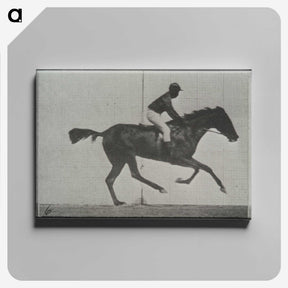 3-44_Eadweard-Muybridge_canvas