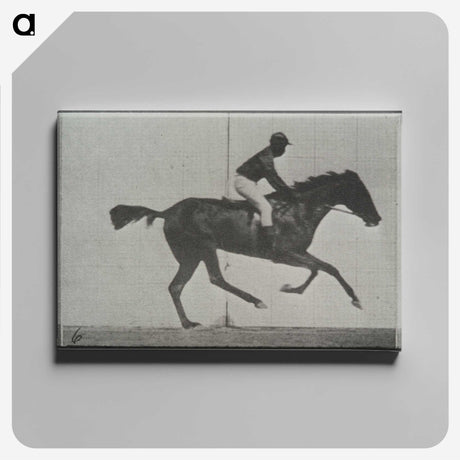 3-44_Eadweard-Muybridge_canvas