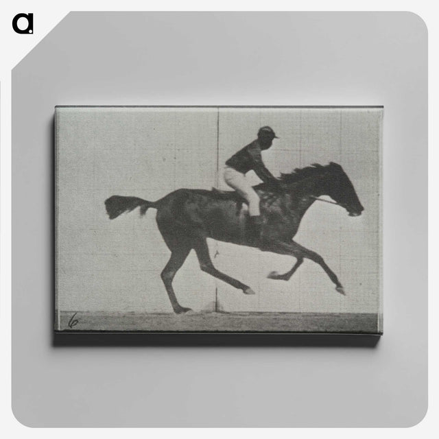 3-44_Eadweard-Muybridge_canvas