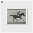 アートポストカード-Galloping Horse and Rider
 - エドワード マイブリッジ Postcard.