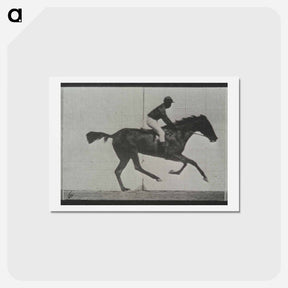 アートポストカード-Galloping Horse and Rider
 - エドワード マイブリッジ Postcard.