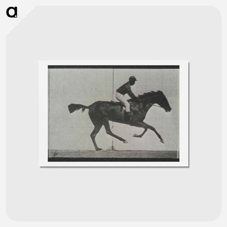 アートポストカード-Galloping Horse and Rider
 - エドワード マイブリッジ Postcard.