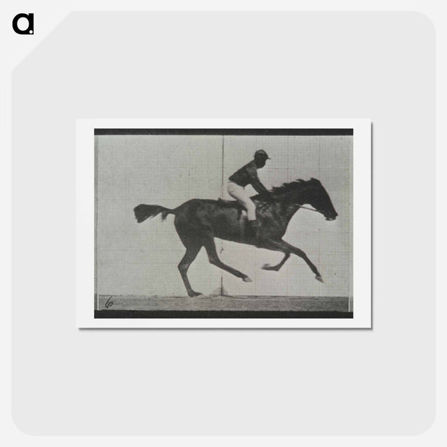アートポストカード-Galloping Horse and Rider
 - エドワード マイブリッジ Postcard.