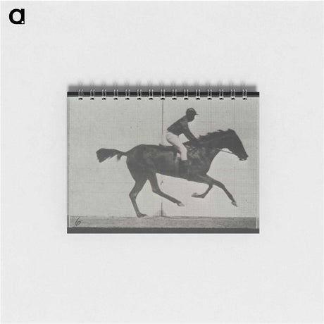アートメモ帳-Galloping Horse and Rider
 - エドワード マイブリッジ Memo.