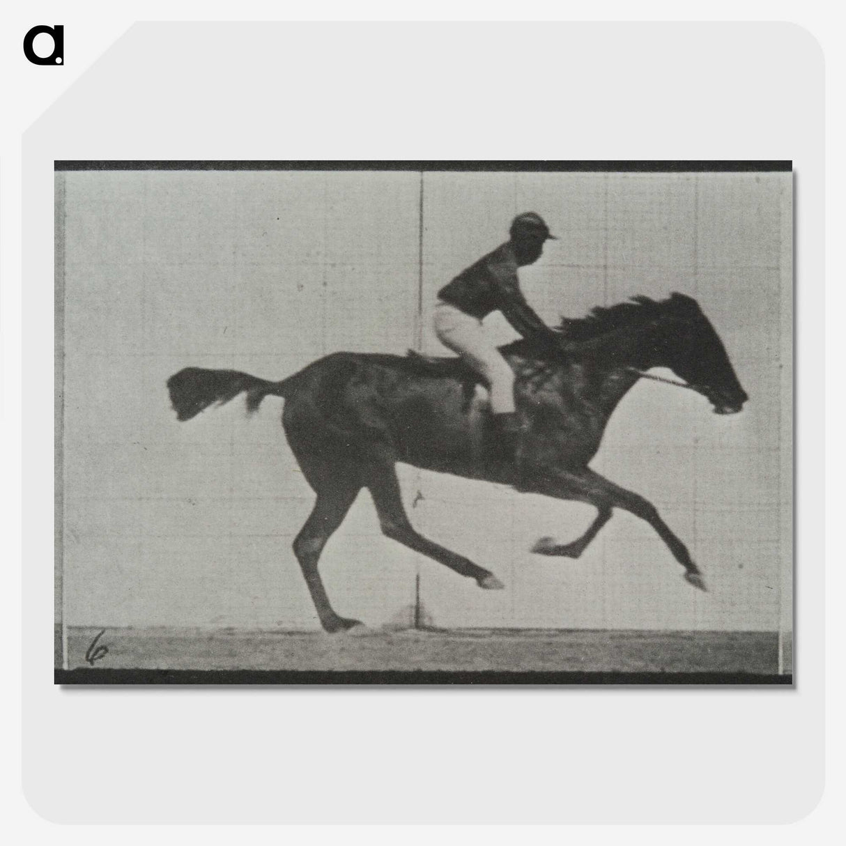 3-44_Eadweard-Muybridge_picture-crop