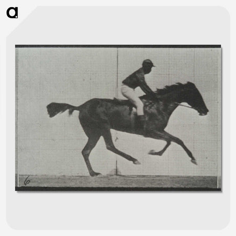 3-44_Eadweard-Muybridge_picture-crop