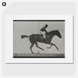3-44_Eadweard-Muybridge_picture